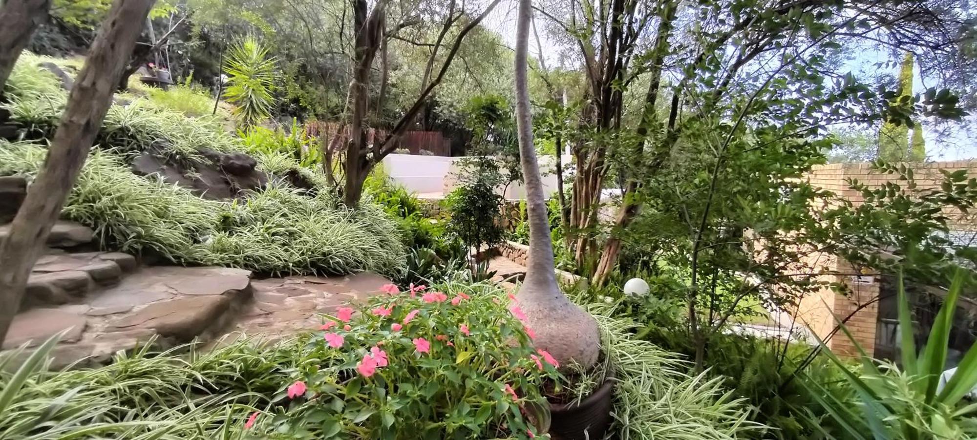Mountain Gem Bed and Breakfast Bloemfontein Exteriör bild