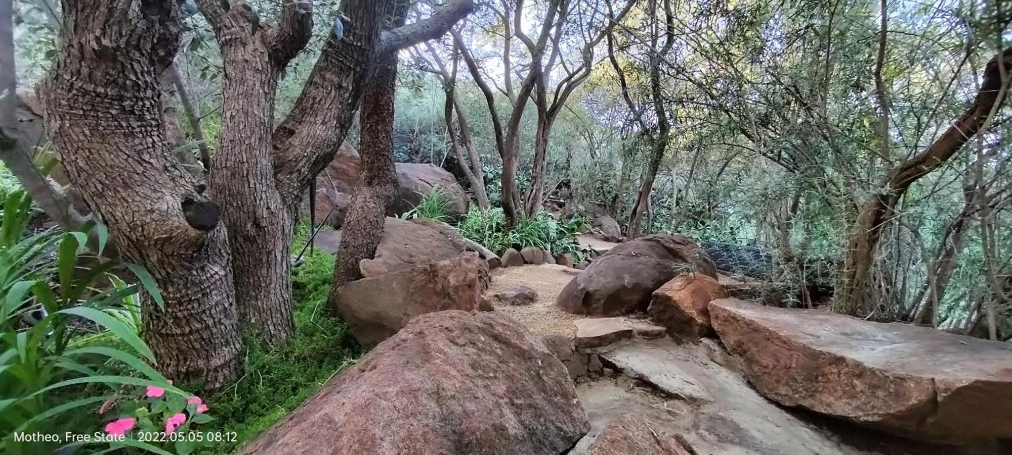 Mountain Gem Bed and Breakfast Bloemfontein Exteriör bild