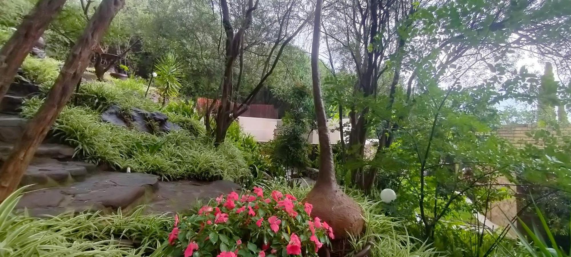 Mountain Gem Bed and Breakfast Bloemfontein Exteriör bild